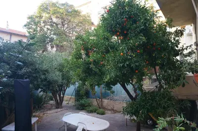 an orange tree and a white bench in a garden at Grand studio de 30m2 !central !spacieux !différent ! in Cannes