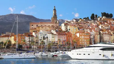 a group of boats are docked in a harbor at La Perle de Cannes in Cannes