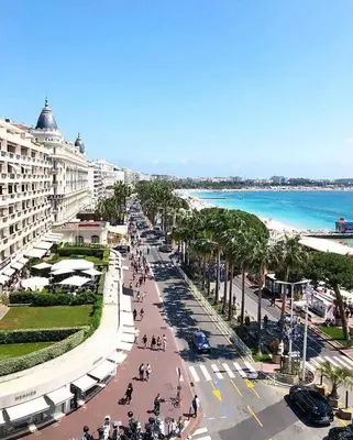 a street in front of a beach with palm trees at Studio Cannes centre in Cannes