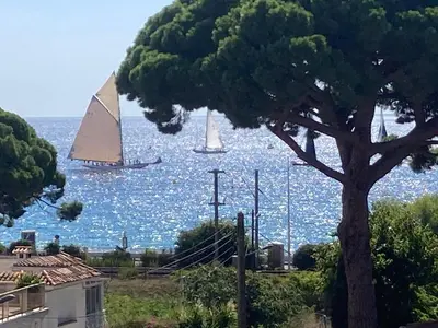 a sail boat in the water with a tree at Cannes Sea View, by Beach, Private Room in Shared 3-Bedroom Apartment, Private Bathroom & Balcony,, Chambre avec salle de bain privative & balcon, chez l'habitant in Cannes