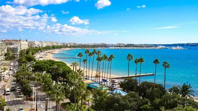 a view of a beach with palm trees and the ocean at Bel appartement avec balcon centre ville in Cannes