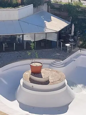 a potted plant sitting in a pool at Cap ô sud 1 in Cannes