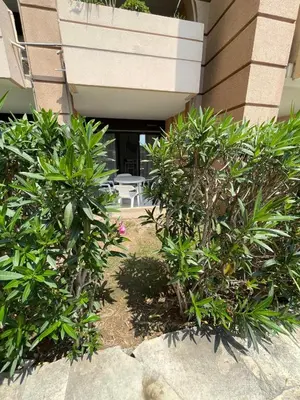 a group of plants in front of a building at Appartement Cannes, Piscine - Terrasse, Jardin Privatif - 4 Personnes in Cannes