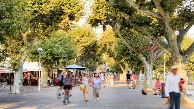a group of people walking down a street with trees at Paradisio in Cannes