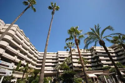 a large white building with palm trees in front of it at Résidence Gray d'Albion appartement DEL562 in Cannes