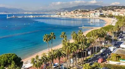 a view of a beach with palm trees and the ocean at Beautiful and cozy apartment in the heart of Cannes in Cannes