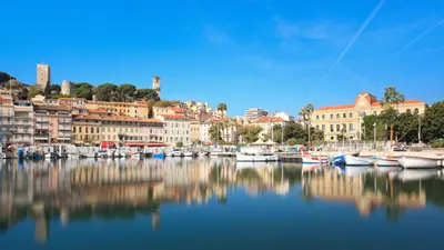 a group of boats are docked in a harbor at 7 Croisette 7C201 in Cannes