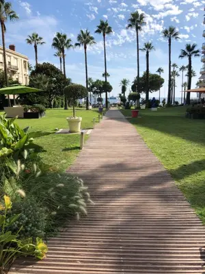 a walkway in a park with palm trees at Studio Cannes Grand Hôtel Eider in Cannes